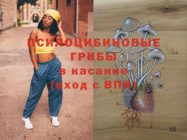 тгк Армянск