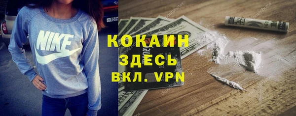 2c-b Болотное