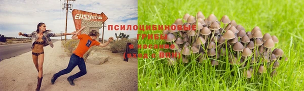 тгк Армянск